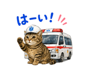 856309738