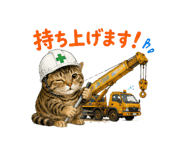 856309767