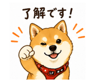 856310382
