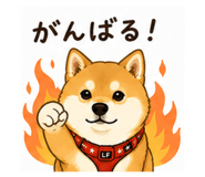 856310390