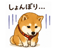 856310392