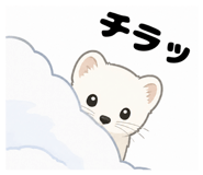 856310817