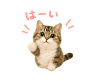 856310833