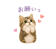 856310836