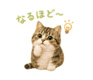 856310839