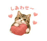 856310855
