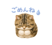 856310865