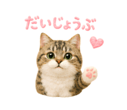 856310866