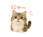 856310868