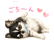 856311109