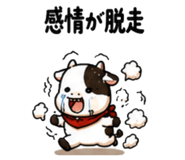 856311755