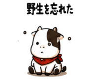 856311764