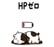 856311769