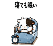 856311788