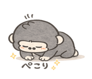 856312092