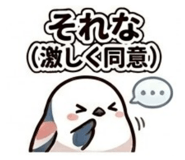 856312332
