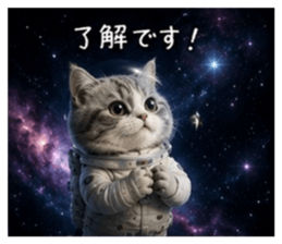 856312385