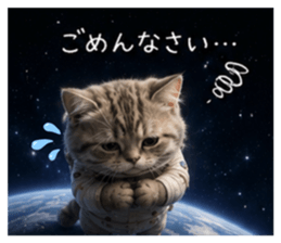 856312388