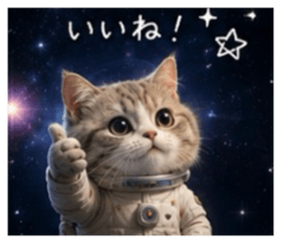 856312393