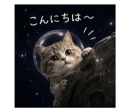 856312394