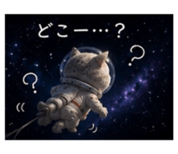 856312395