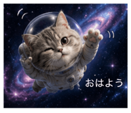 856312397