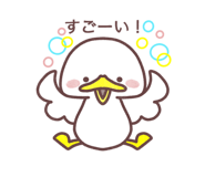856312491