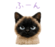 856313123