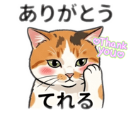 856313467