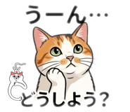 856313468