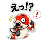 856313662