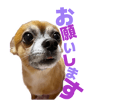 856313939