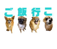 856313950