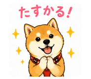 856314402