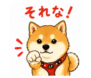 856314404