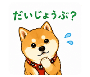 856314412