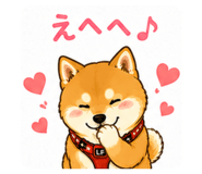 856314414