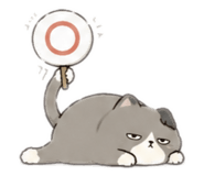 856314442