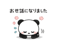 856314494