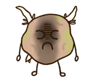 856314631