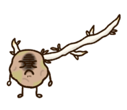 856314632