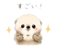 856314787