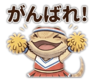 856315495