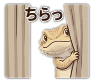 856315496