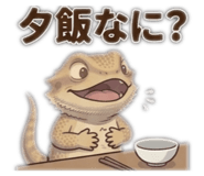 856315511
