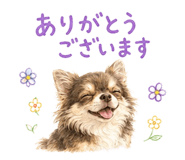 856315988