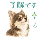856315992