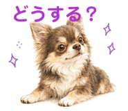 856315993