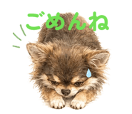 856315994