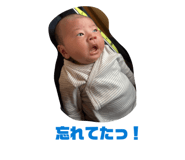856316133